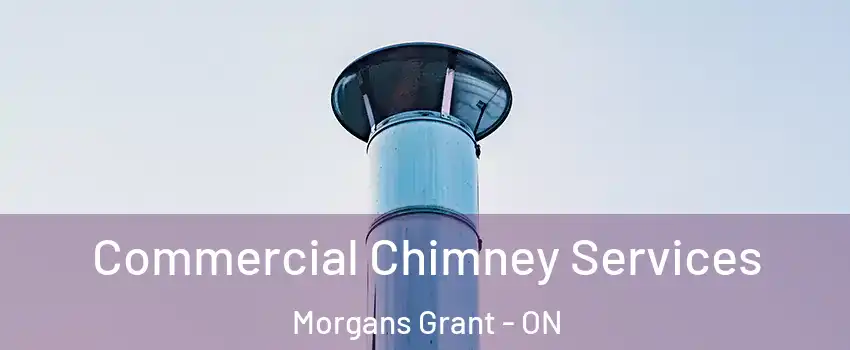  Commercial Chimney Services Morgans Grant - ON