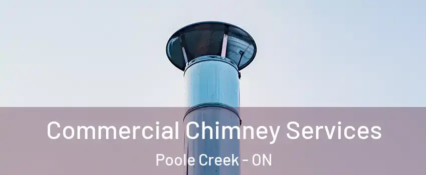 Commercial Chimney Services Poole Creek - ON
