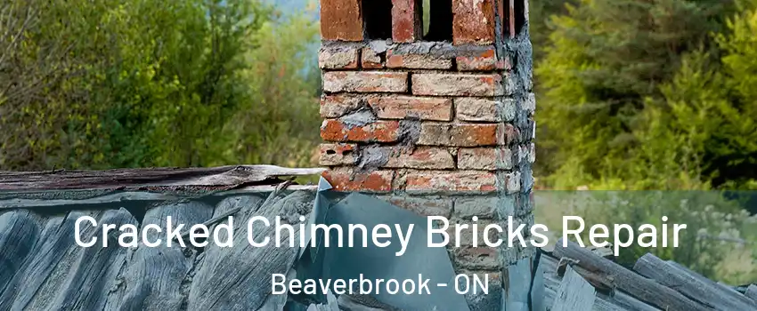  Cracked Chimney Bricks Repair Beaverbrook - ON
