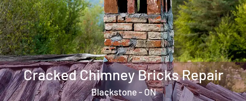  Cracked Chimney Bricks Repair Blackstone - ON