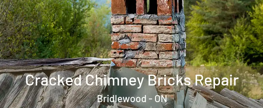  Cracked Chimney Bricks Repair Bridlewood - ON