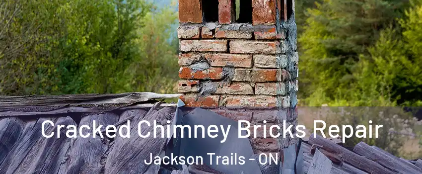  Cracked Chimney Bricks Repair Jackson Trails - ON