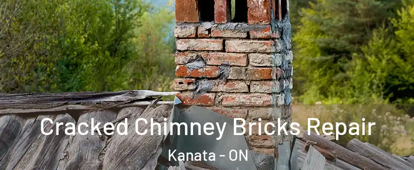  Cracked Chimney Bricks Repair Kanata - ON