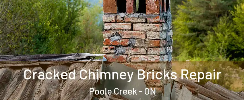  Cracked Chimney Bricks Repair Poole Creek - ON