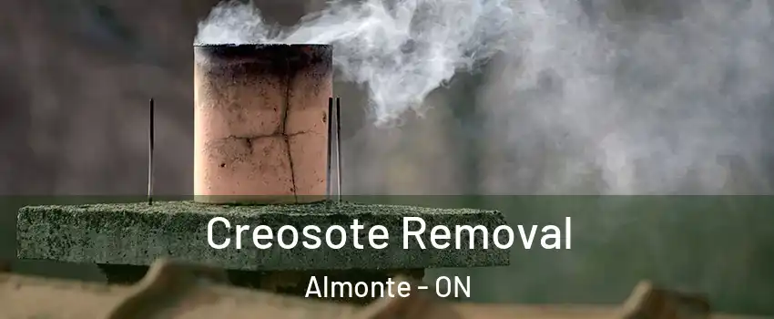  Creosote Removal Almonte - ON