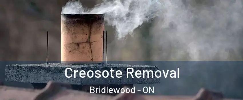  Creosote Removal Bridlewood - ON