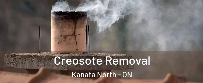 Creosote Removal Kanata North - ON