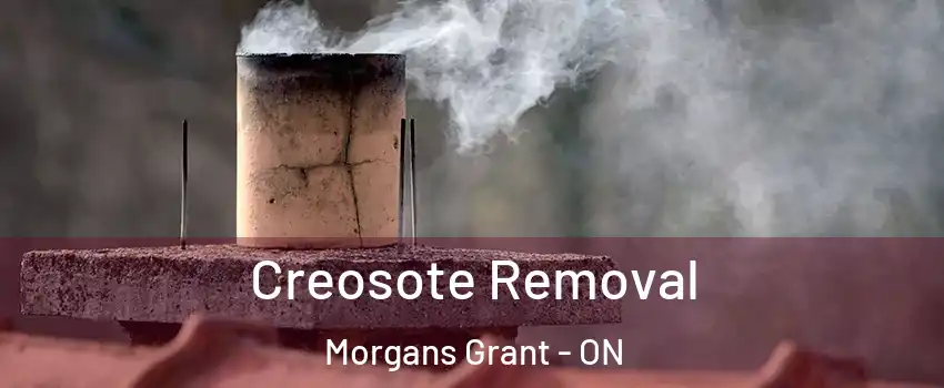  Creosote Removal Morgans Grant - ON