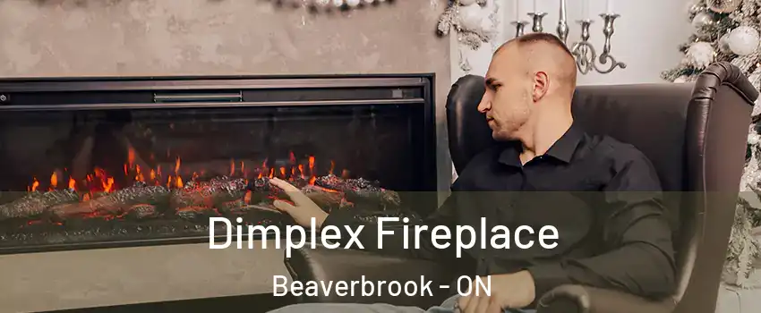  Dimplex Fireplace Beaverbrook - ON