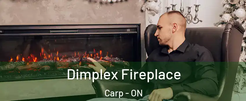  Dimplex Fireplace Carp - ON