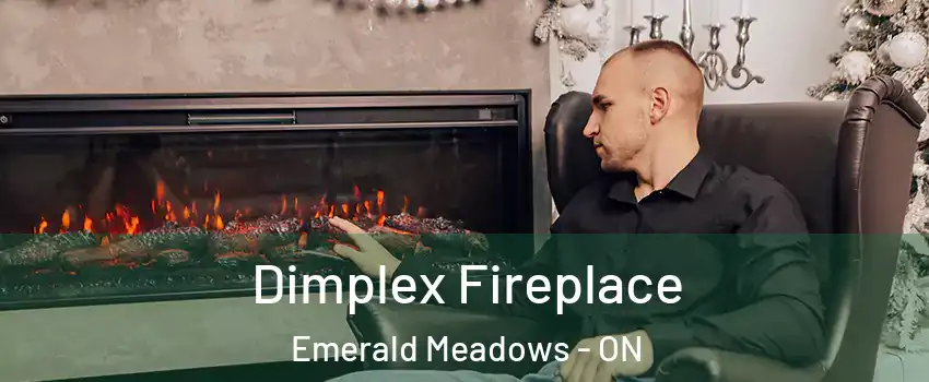  Dimplex Fireplace Emerald Meadows - ON