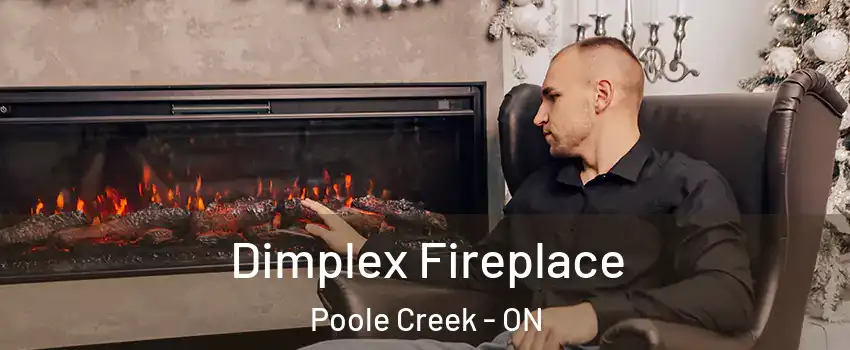  Dimplex Fireplace Poole Creek - ON