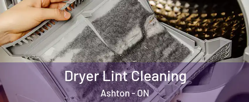 Dryer Lint Cleaning Ashton - ON