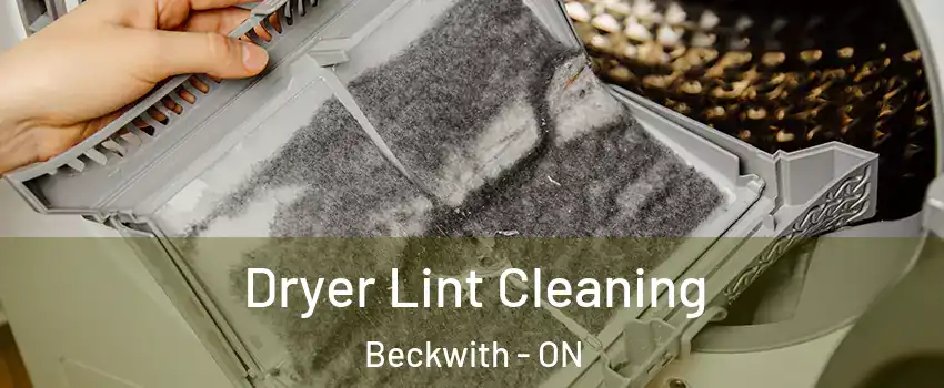  Dryer Lint Cleaning Beckwith - ON