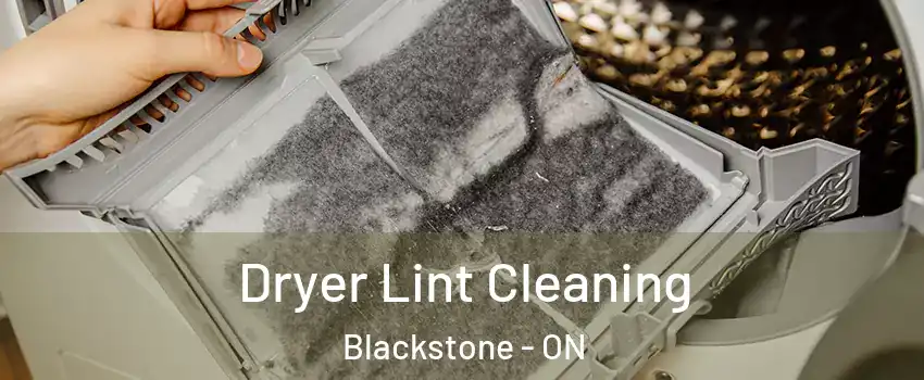  Dryer Lint Cleaning Blackstone - ON