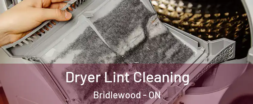  Dryer Lint Cleaning Bridlewood - ON