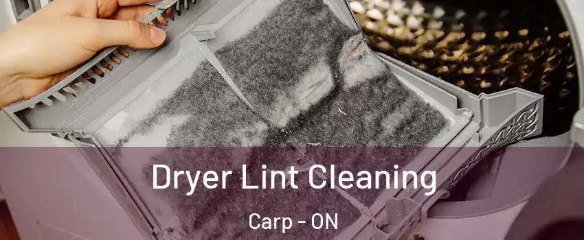  Dryer Lint Cleaning Carp - ON