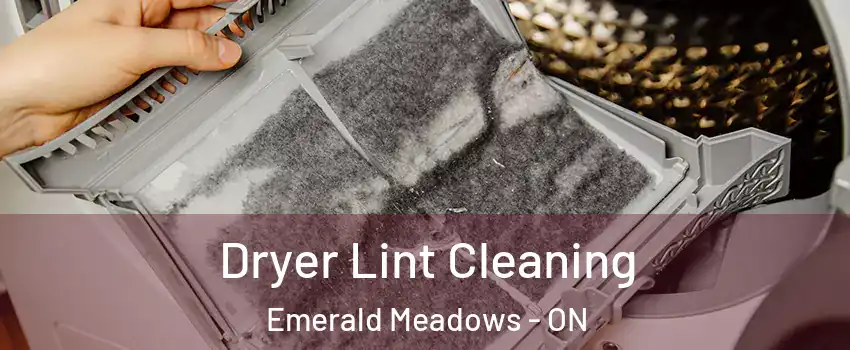  Dryer Lint Cleaning Emerald Meadows - ON