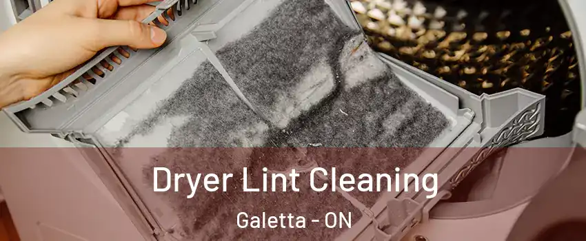  Dryer Lint Cleaning Galetta - ON