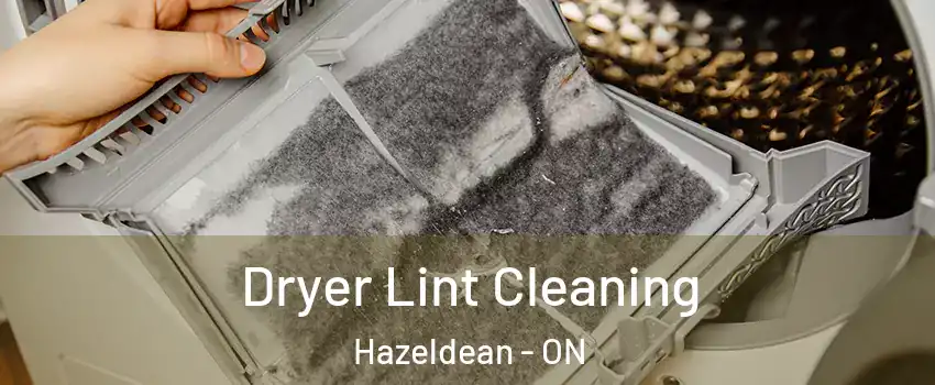  Dryer Lint Cleaning Hazeldean - ON
