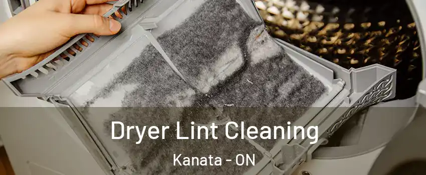 Dryer Lint Cleaning Kanata - ON