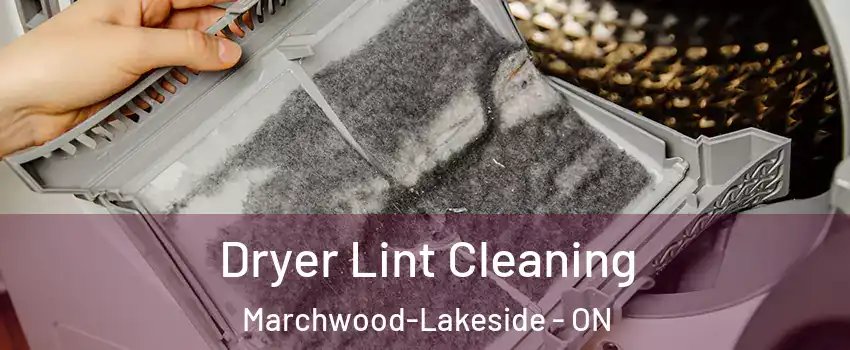 Dryer Lint Cleaning Marchwood-Lakeside - ON