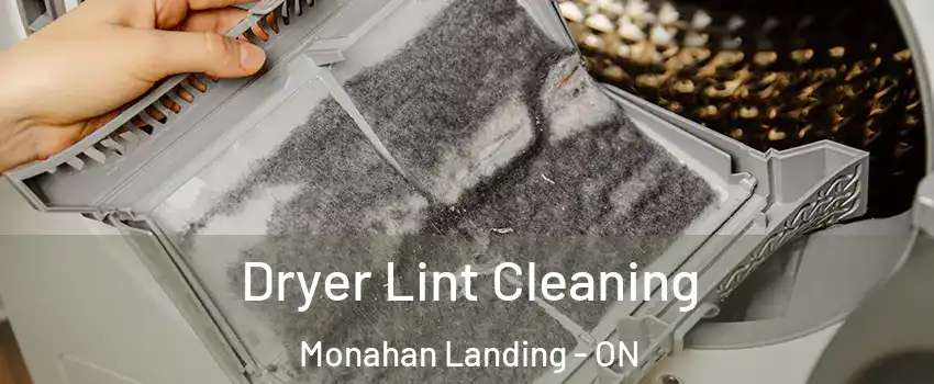 Dryer Lint Cleaning Monahan Landing - ON