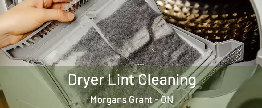 Dryer Lint Cleaning Morgans Grant - ON