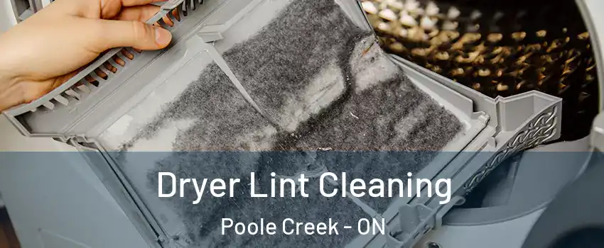  Dryer Lint Cleaning Poole Creek - ON