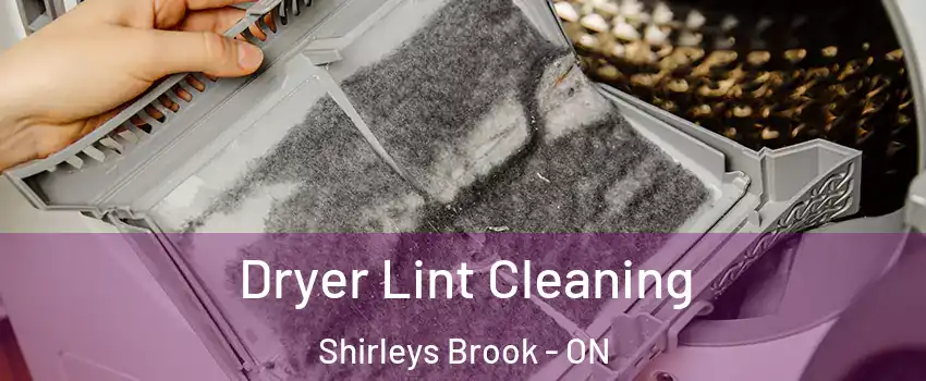 Dryer Lint Cleaning Shirleys Brook - ON