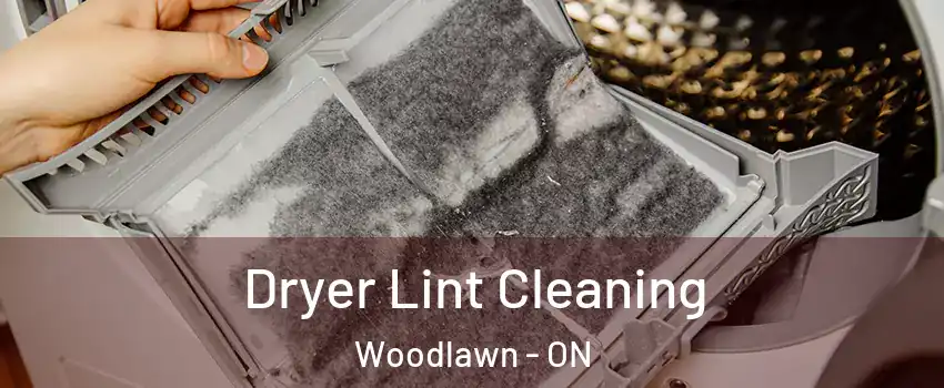  Dryer Lint Cleaning Woodlawn - ON