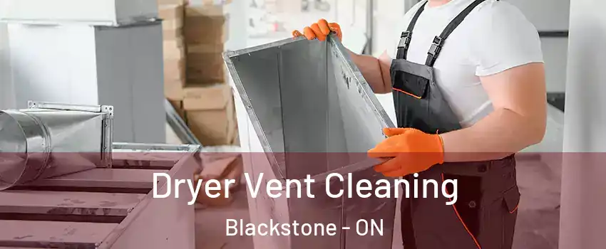  Dryer Vent Cleaning Blackstone - ON