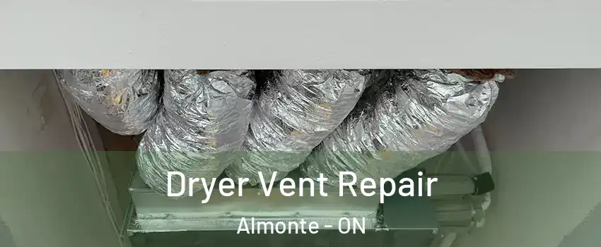 Dryer Vent Repair Almonte - ON