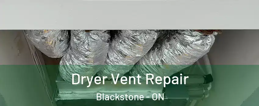  Dryer Vent Repair Blackstone - ON