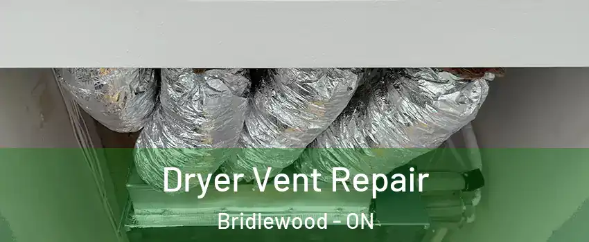  Dryer Vent Repair Bridlewood - ON