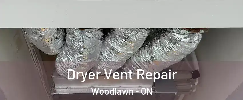  Dryer Vent Repair Woodlawn - ON