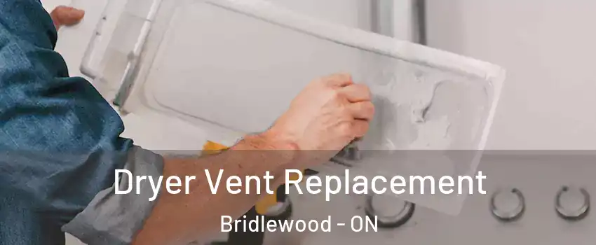  Dryer Vent Replacement Bridlewood - ON