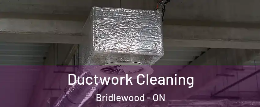  Ductwork Cleaning Bridlewood - ON