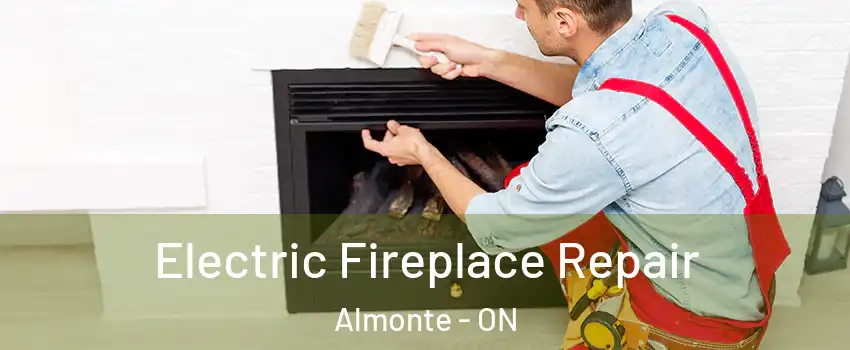  Electric Fireplace Repair Almonte - ON