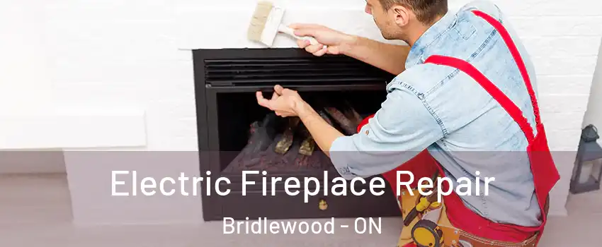  Electric Fireplace Repair Bridlewood - ON