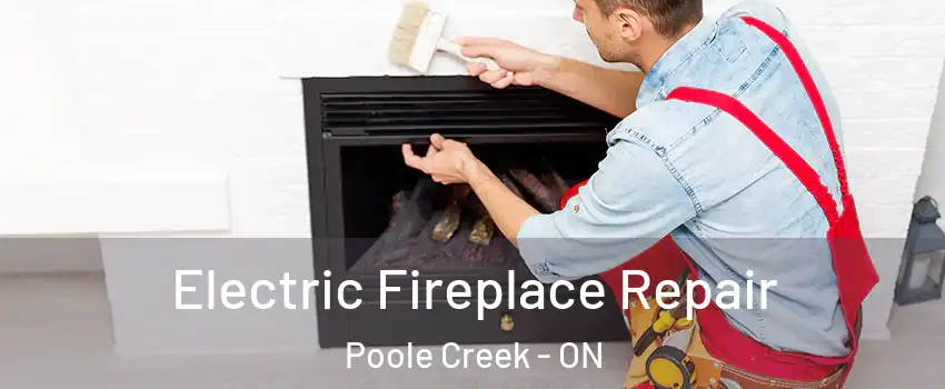  Electric Fireplace Repair Poole Creek - ON