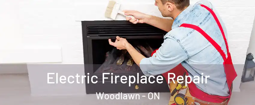  Electric Fireplace Repair Woodlawn - ON