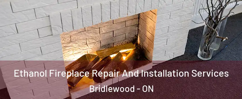  Ethanol Fireplace Repair And Installation Services Bridlewood - ON