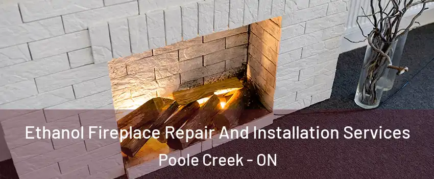  Ethanol Fireplace Repair And Installation Services Poole Creek - ON