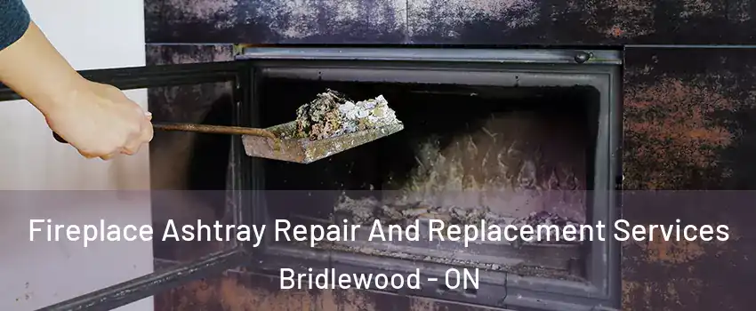  Fireplace Ashtray Repair And Replacement Services Bridlewood - ON
