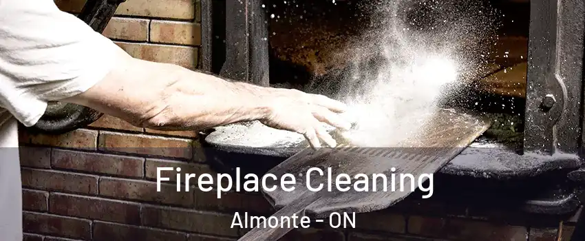 Fireplace Cleaning Almonte - ON