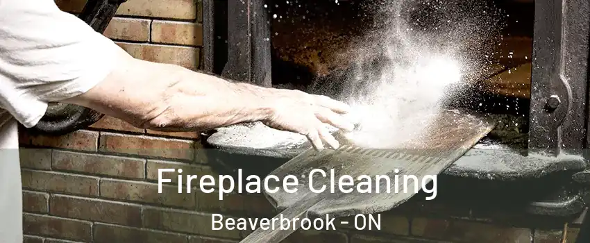  Fireplace Cleaning Beaverbrook - ON