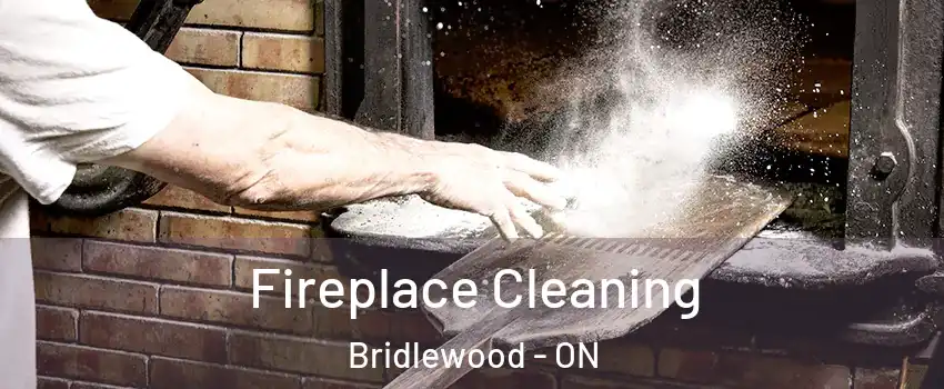  Fireplace Cleaning Bridlewood - ON