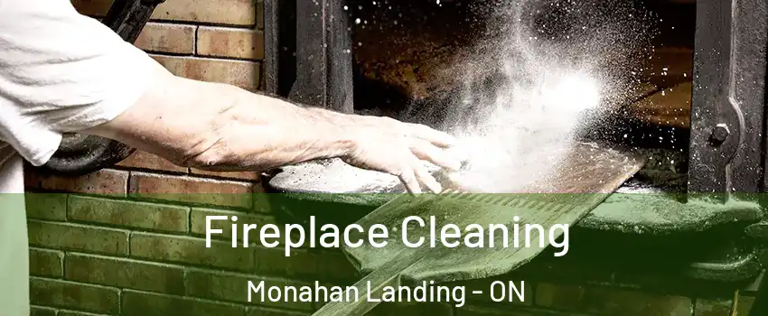  Fireplace Cleaning Monahan Landing - ON