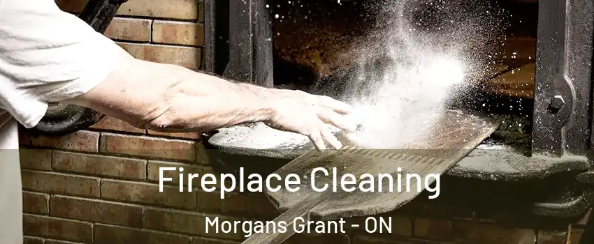  Fireplace Cleaning Morgans Grant - ON